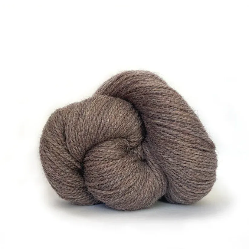 Scout - 245 Hazelnut Heather