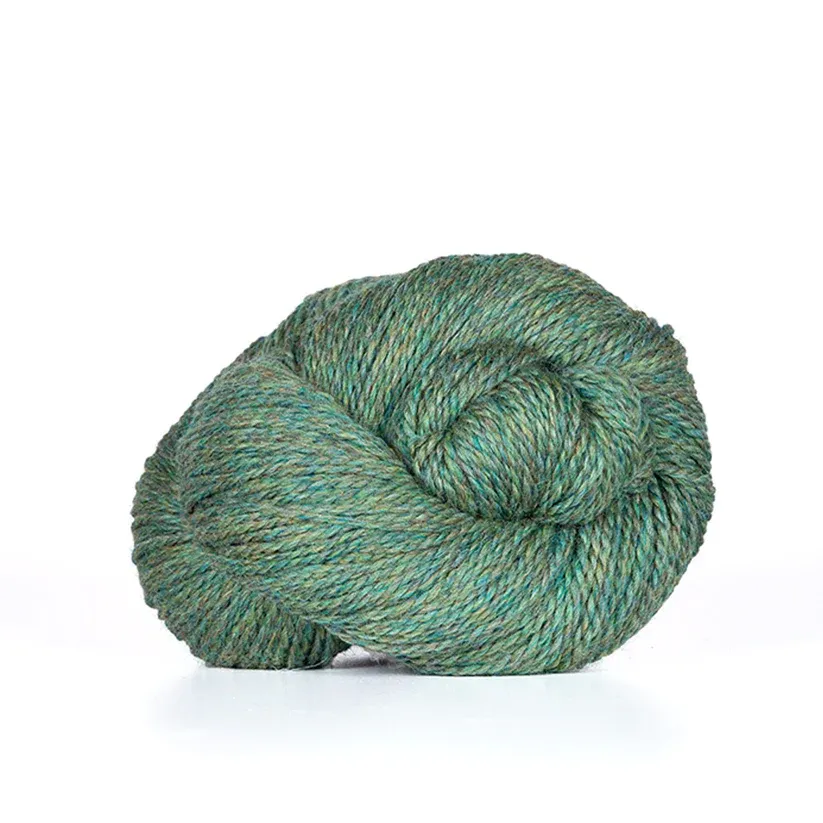 Scout - 330 Meadow Heather