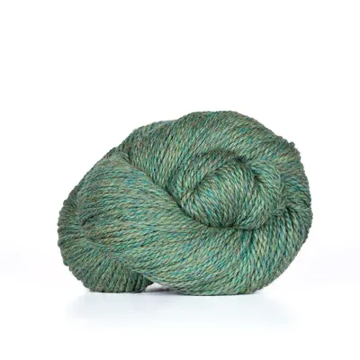 Scout - 330 Meadow Heather