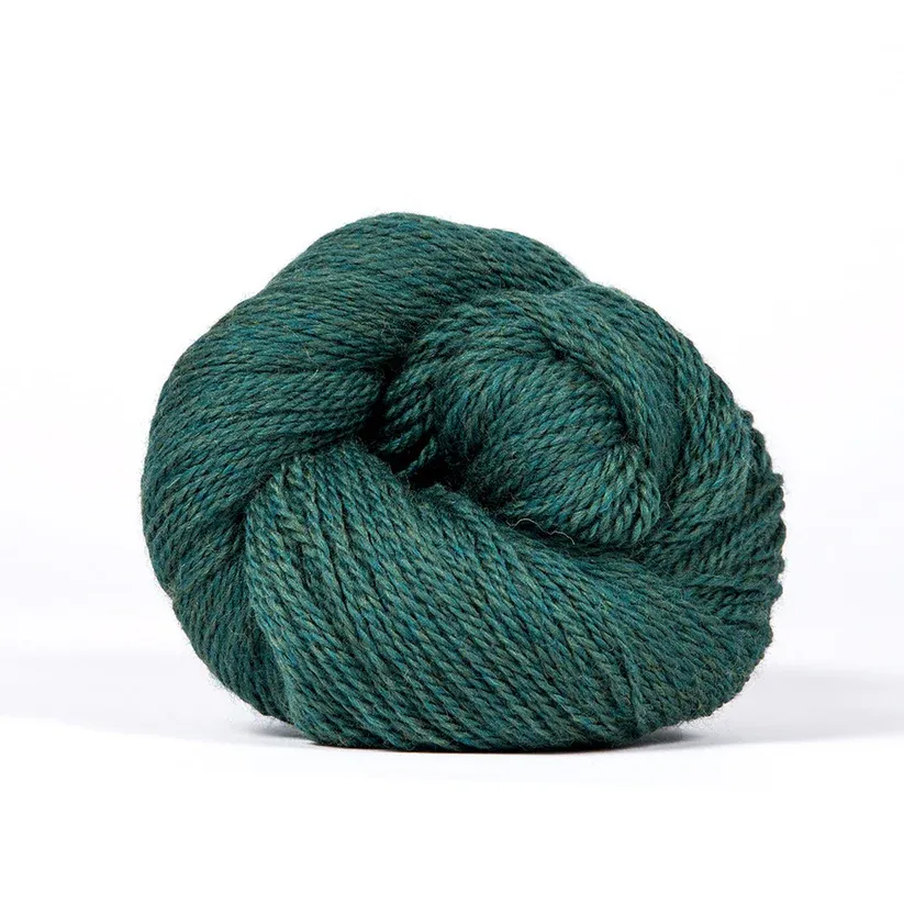 Scout - 309 Juniper Heather