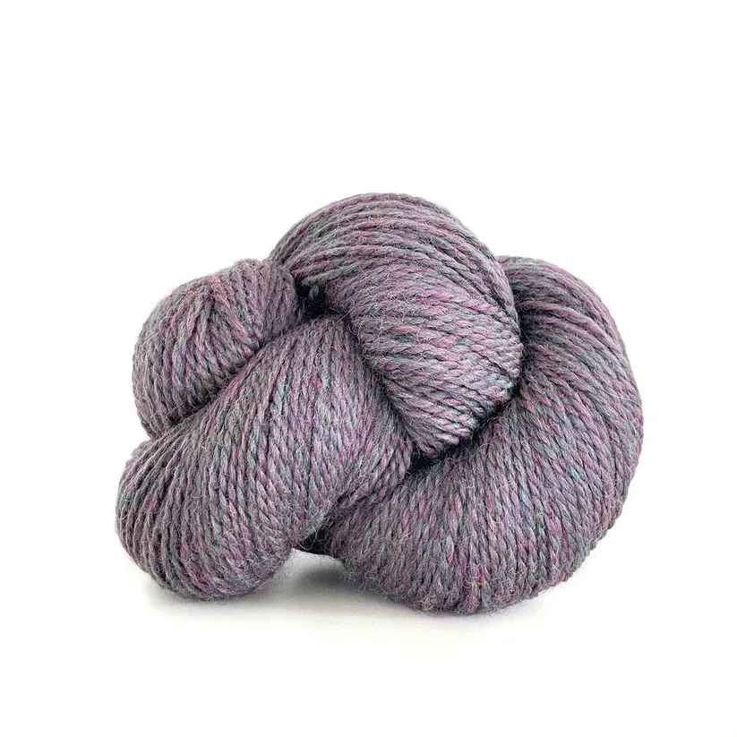 Scout - 515 Wisteria Heather