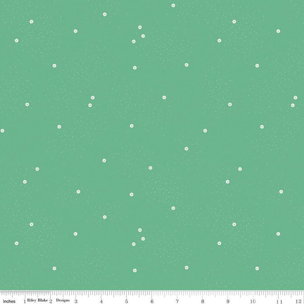 Dainty Daisy Alpine