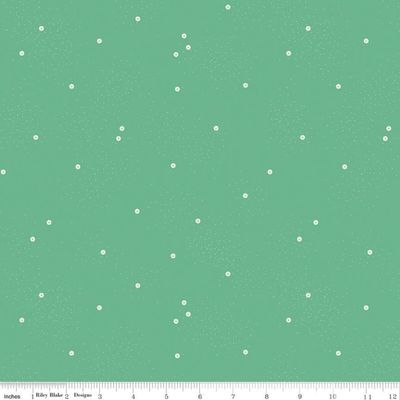 Dainty Daisy Alpine