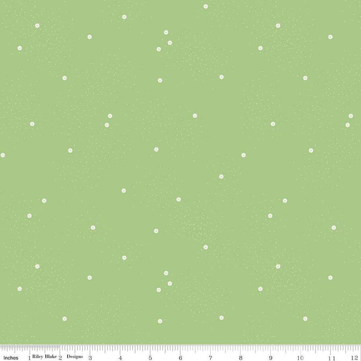 Dainty Daisy Grass