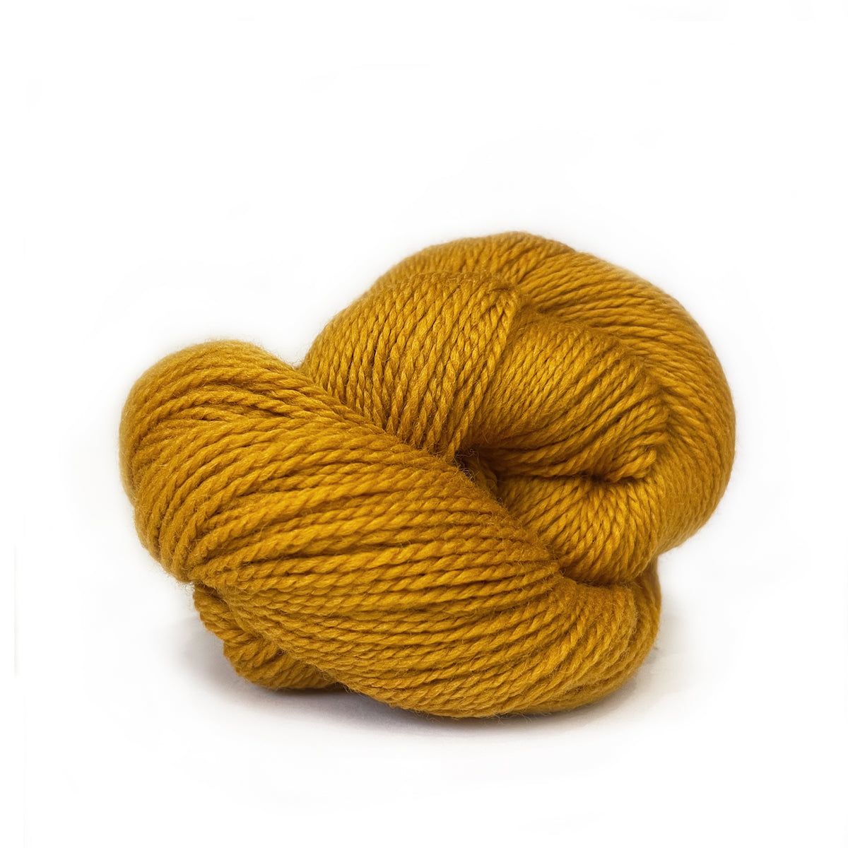 Scout - 720 Dandelion