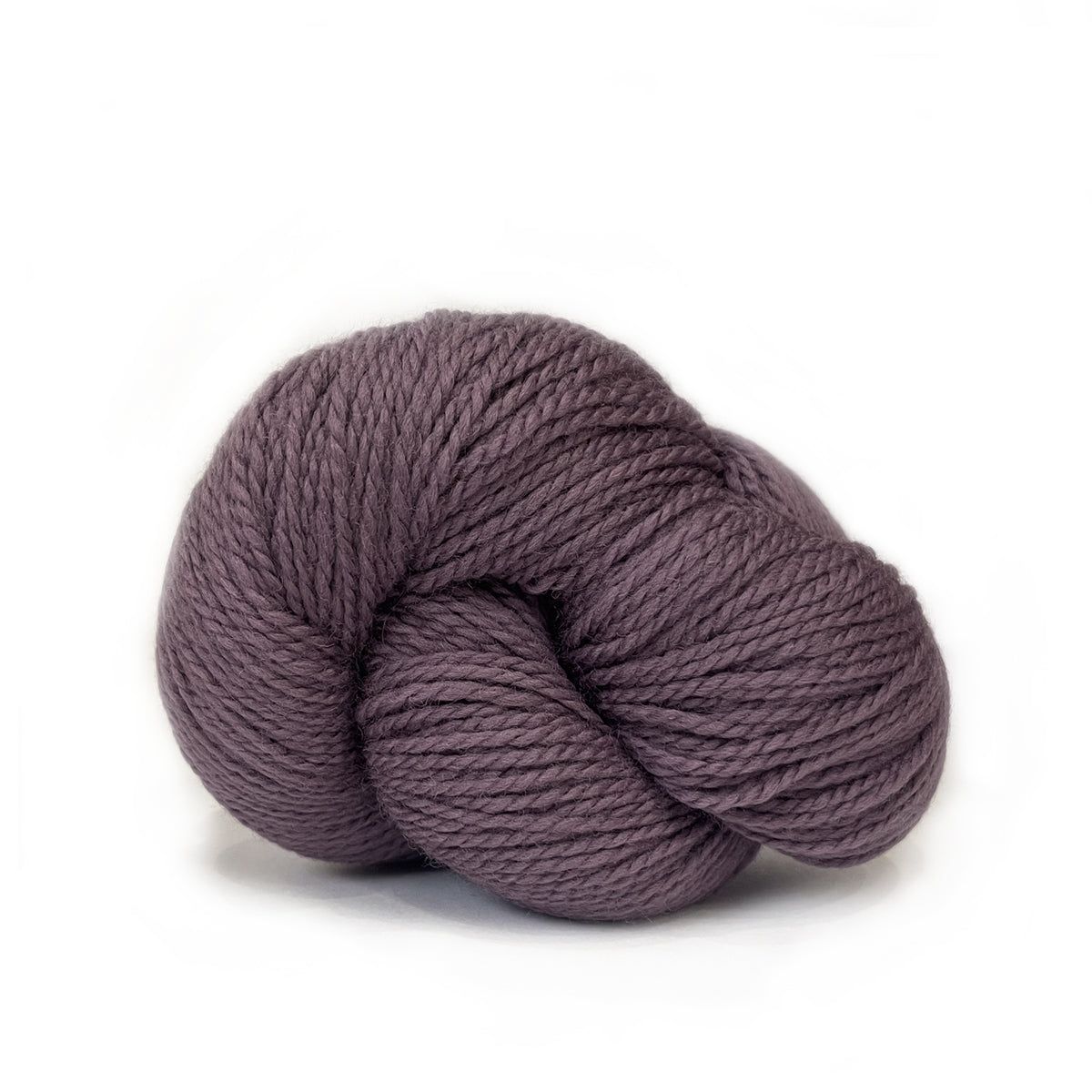 Scout - 525 African Violet