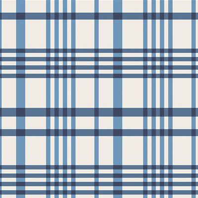 Happy Plaid Sky Flannel