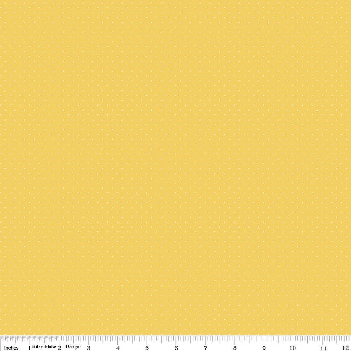 American Jane Pindots Canary