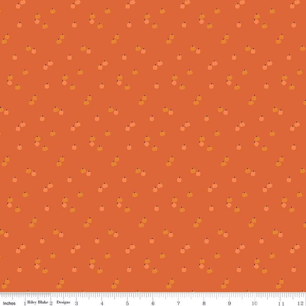 Seasonal Basics Pumpkins Orange