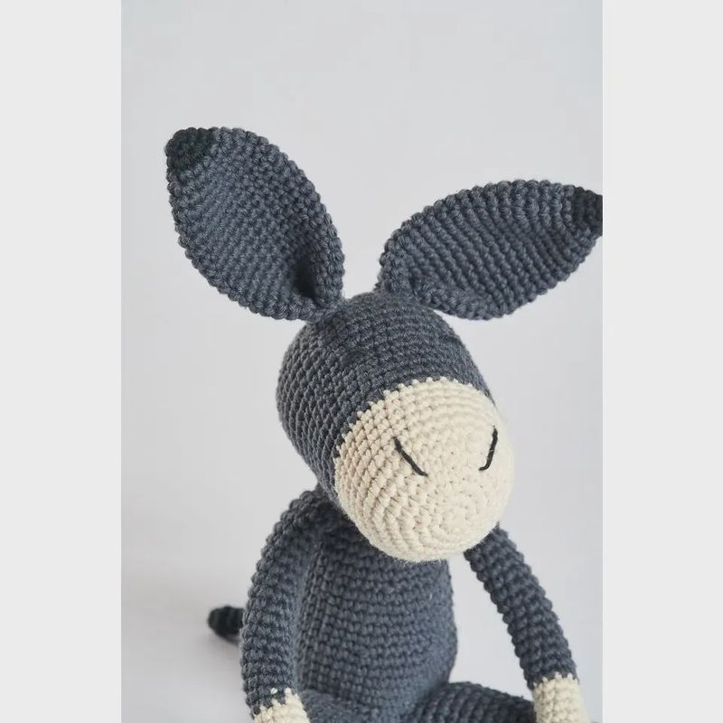 Roque the Donkey
