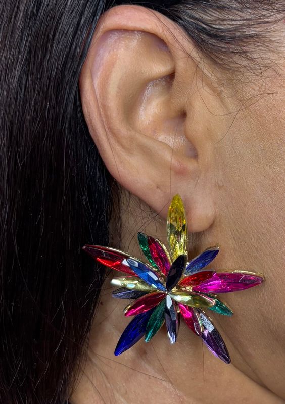 Multi-color Stones earring