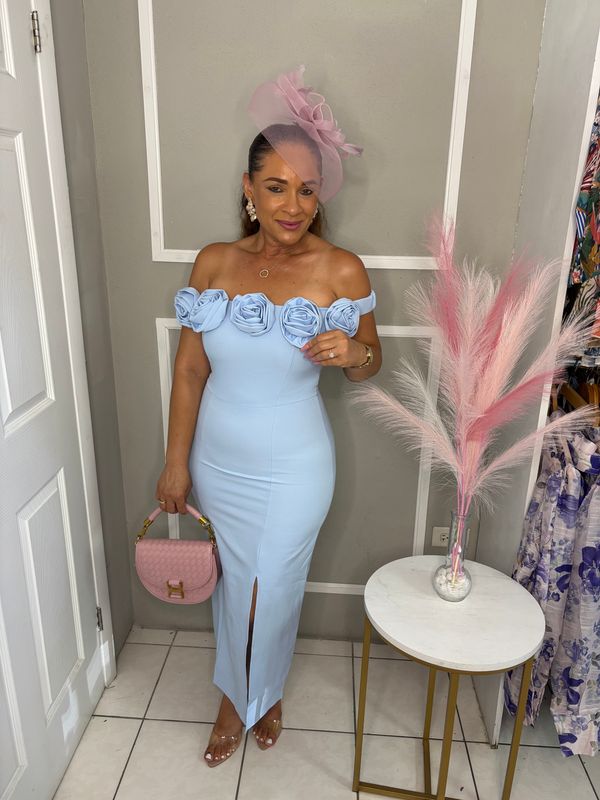 Picture Perfect Dress  (baby blue)