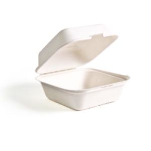 6*6 Compostable  400 Count