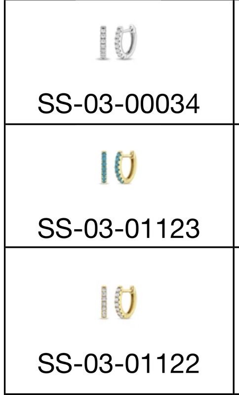 Hoops Silver Earrings