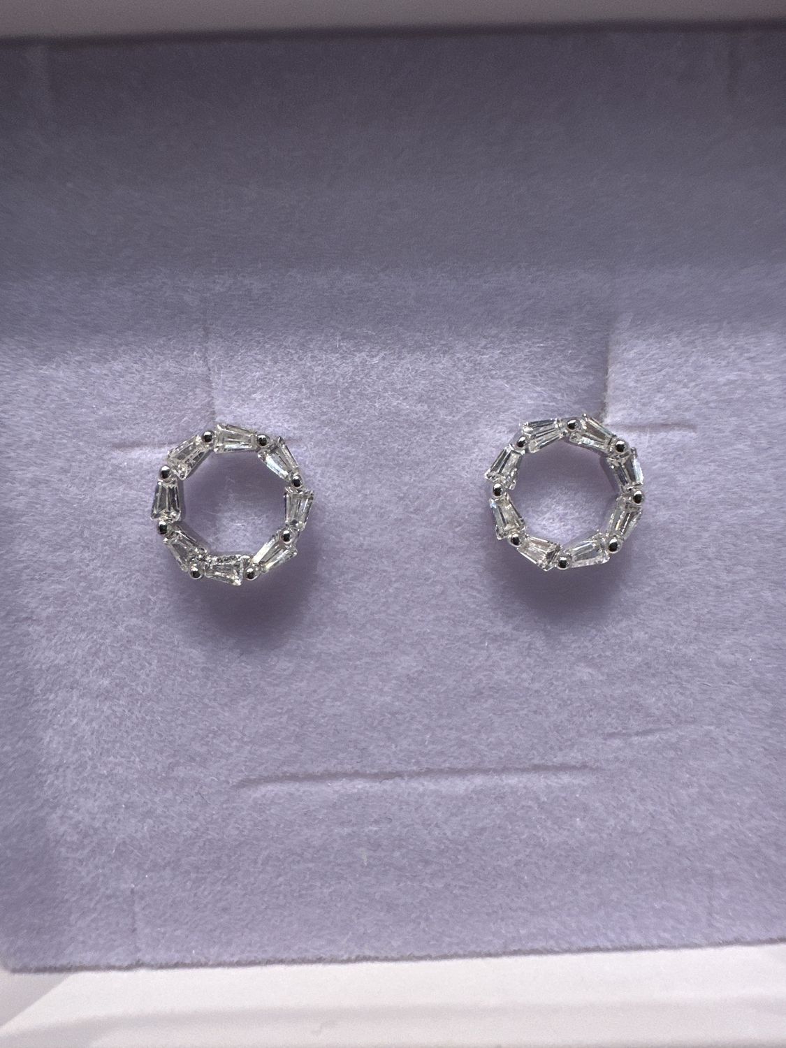 Circle stone silver earring