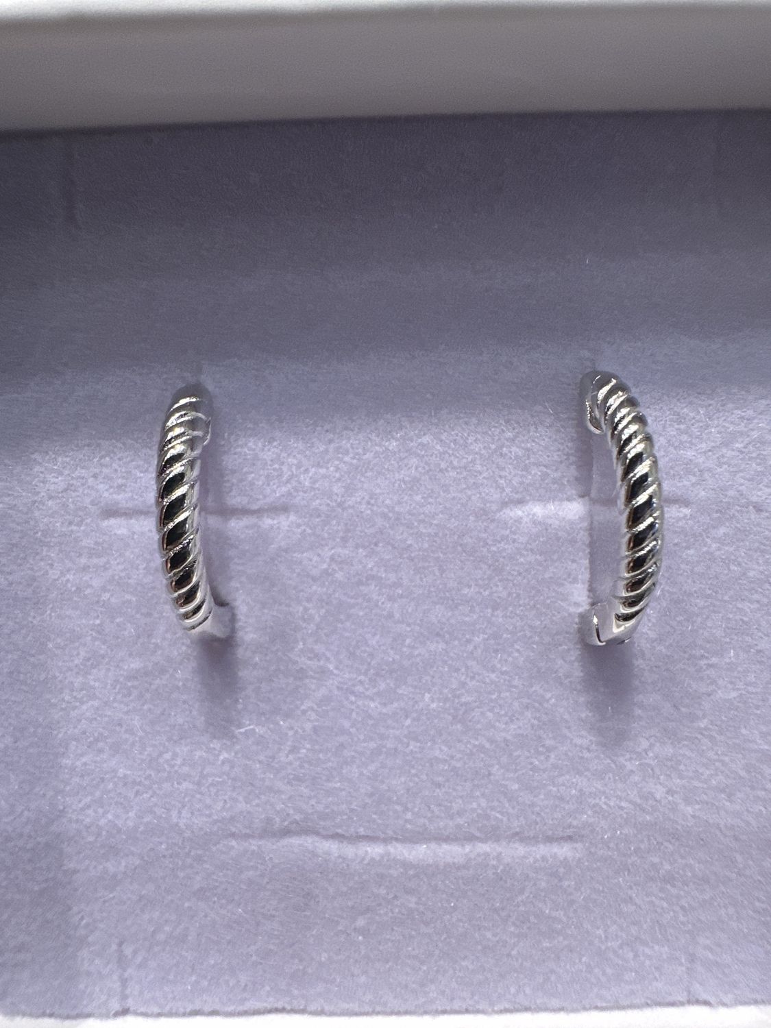 Twisted Roop Hoop Silver Earring