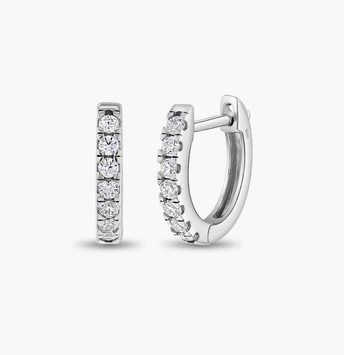 Hoops Silver Earrings