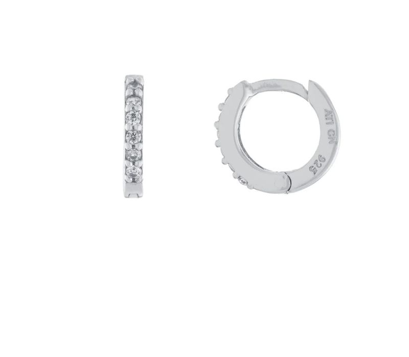 Small Hoop w/Stone Earring