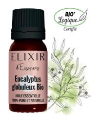 eucalyptus globuleux