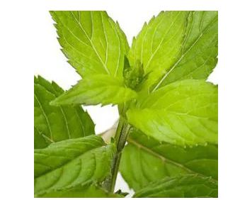 Gomme guar végétale 10 g