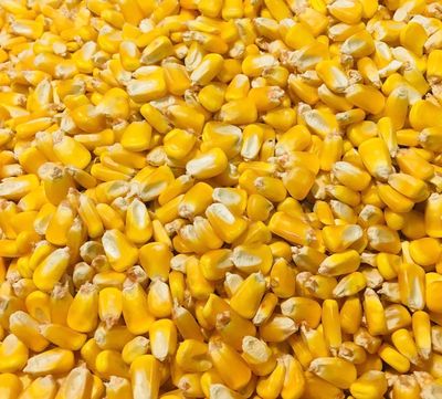 Deer Corn