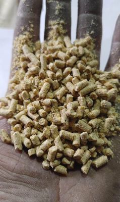 BVF Premium Layer Feed - Pellets