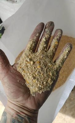 BVF Premium Layer Feed - Mash
