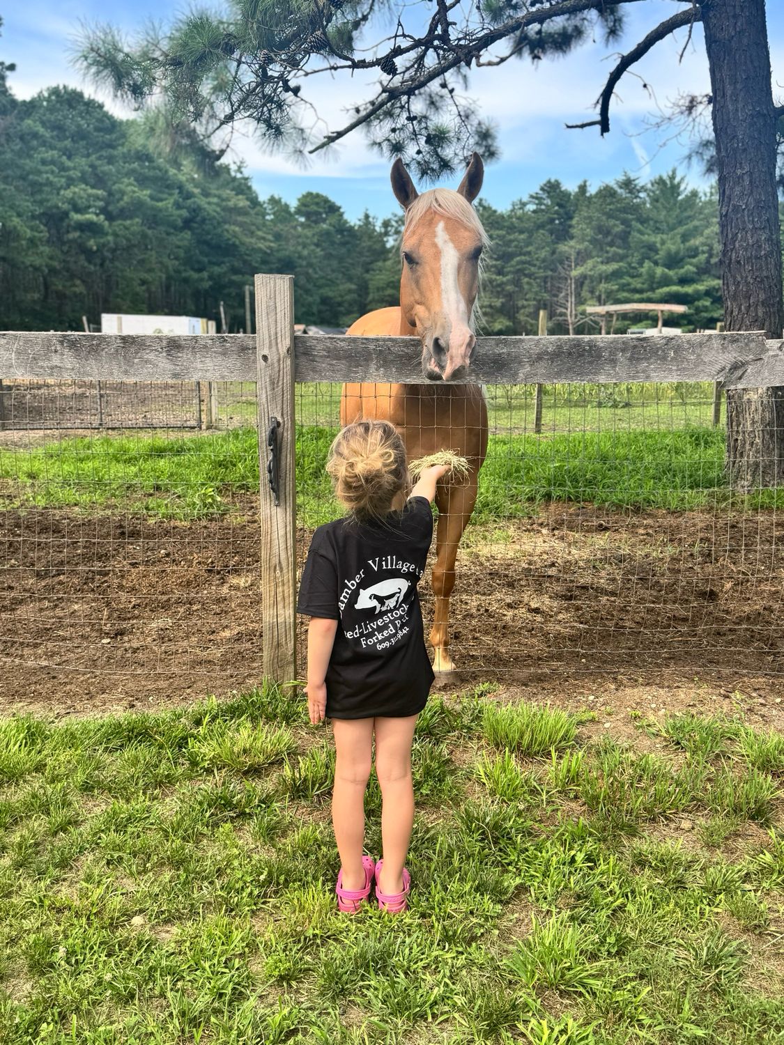 BVF Logo Tee - YOUTH