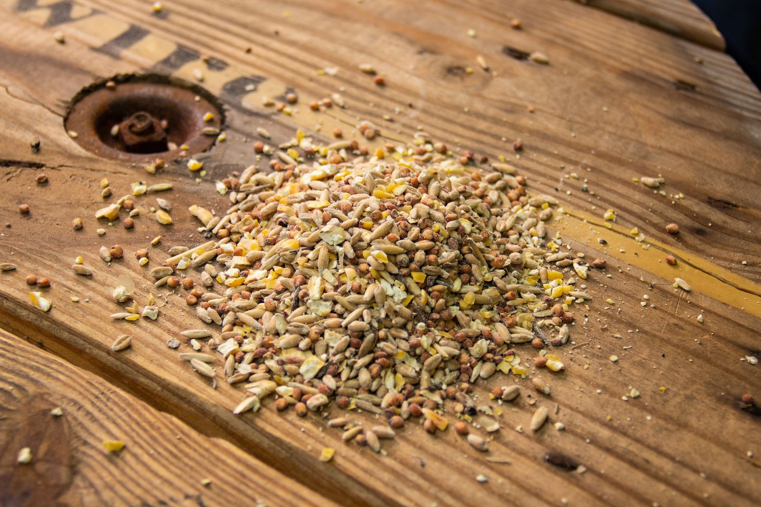 Organic Scratch Feed, 25lbs