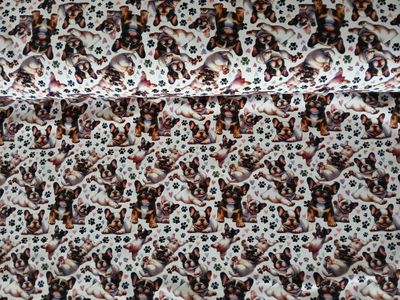 ​Jersey digital Olly And Friends, little dogs