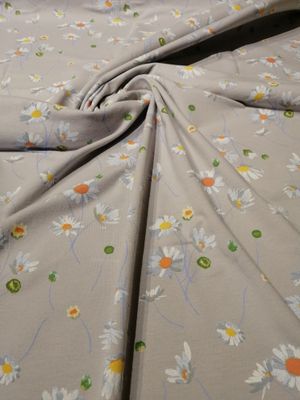 Jersey flowers margrieten, silvergrey