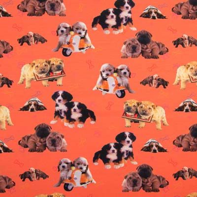 Jersey digital tweeling puppie hondjes, oranje Jersey digital tweeling puppie hondjes, oranje
