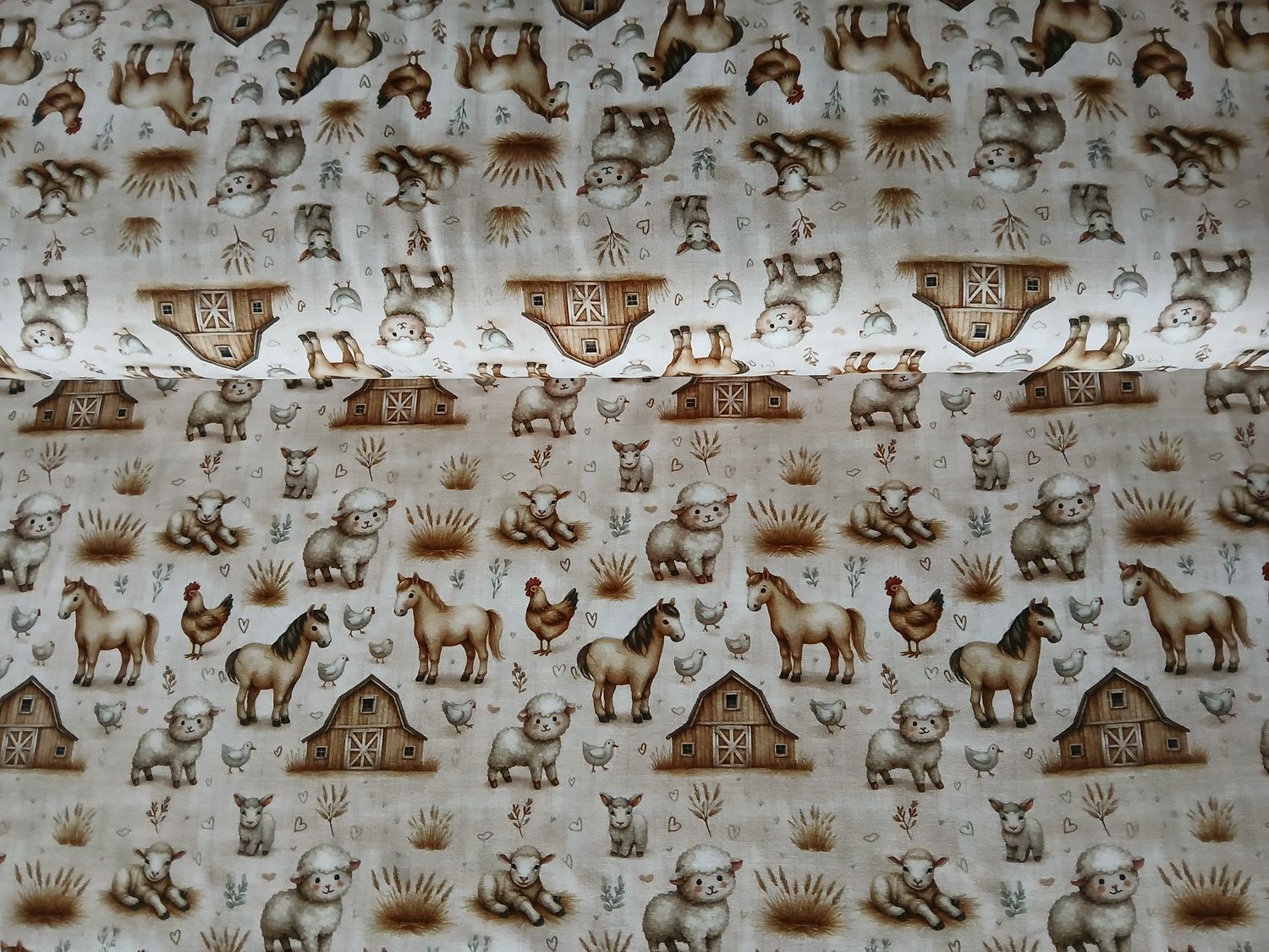 ​Jersey digital The Cutest farm animals