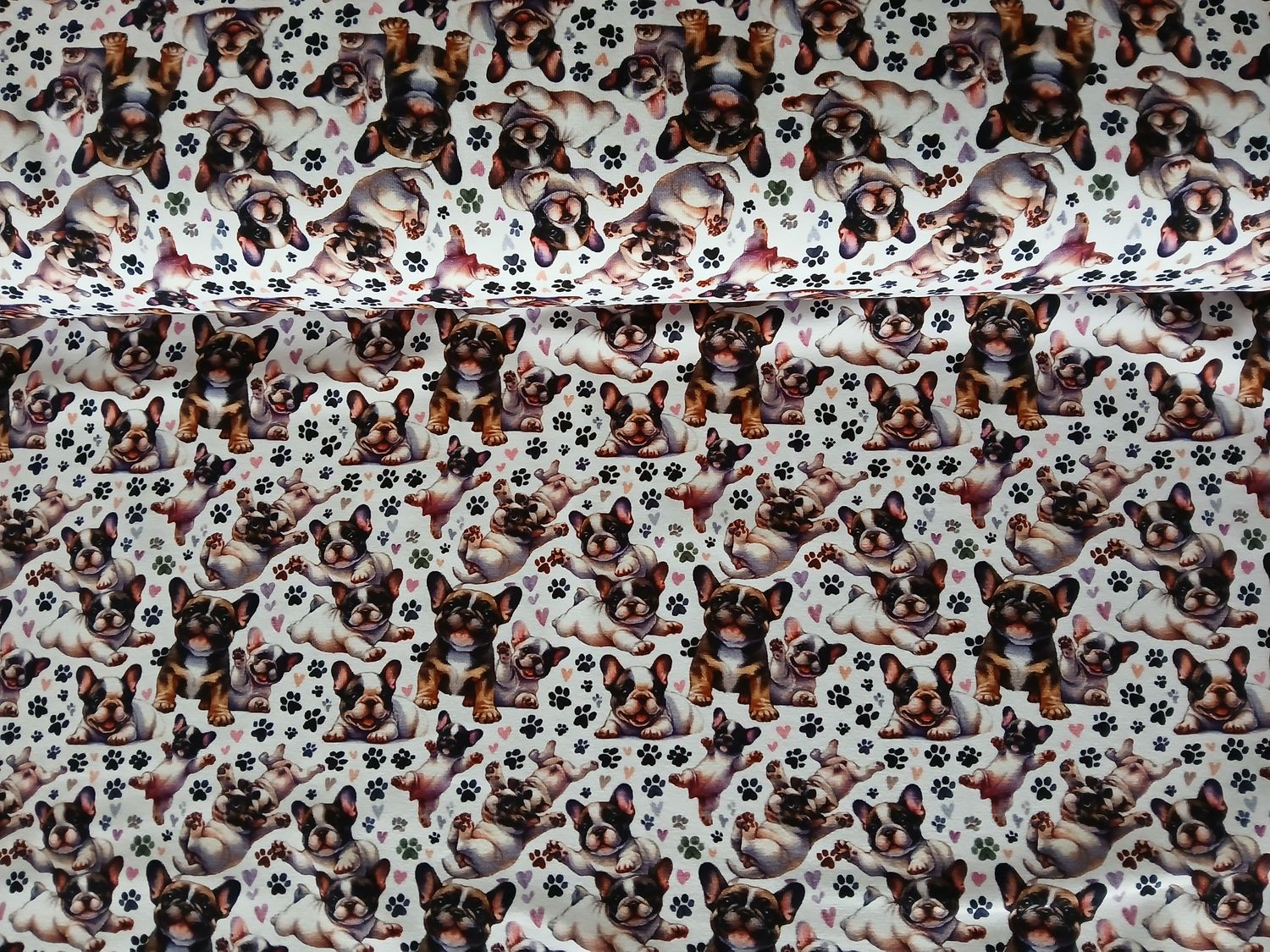 ​Jersey digital Olly And Friends, little dogs