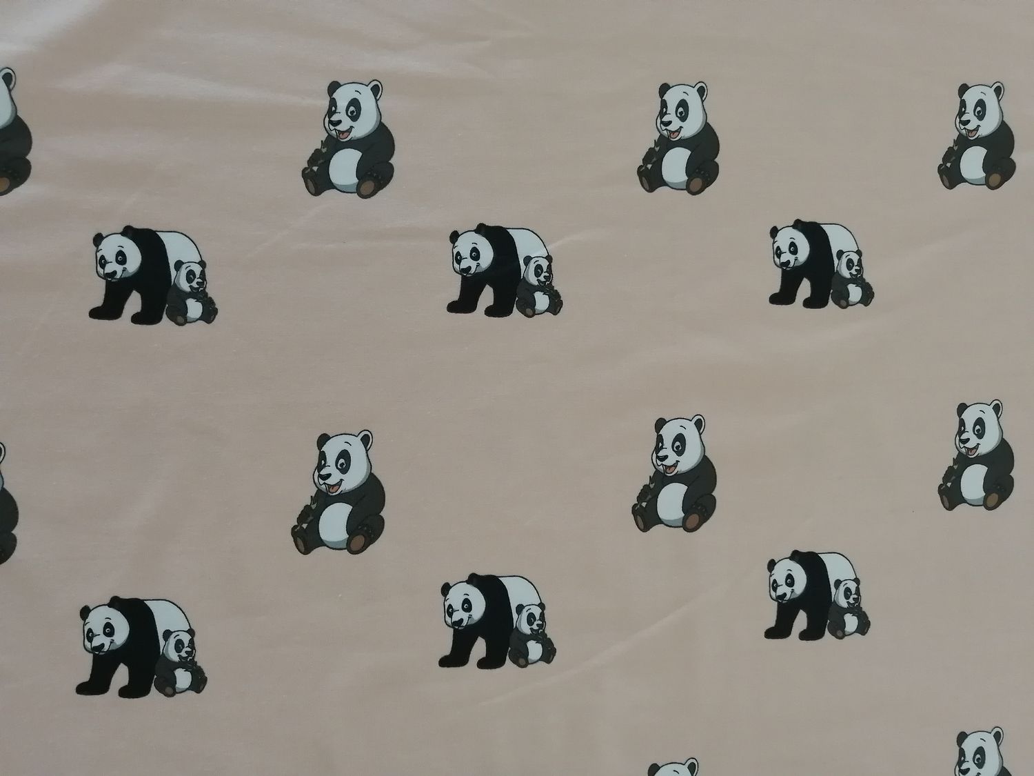 Jersey baby panda roos