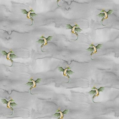 Jersey digital dragon grey