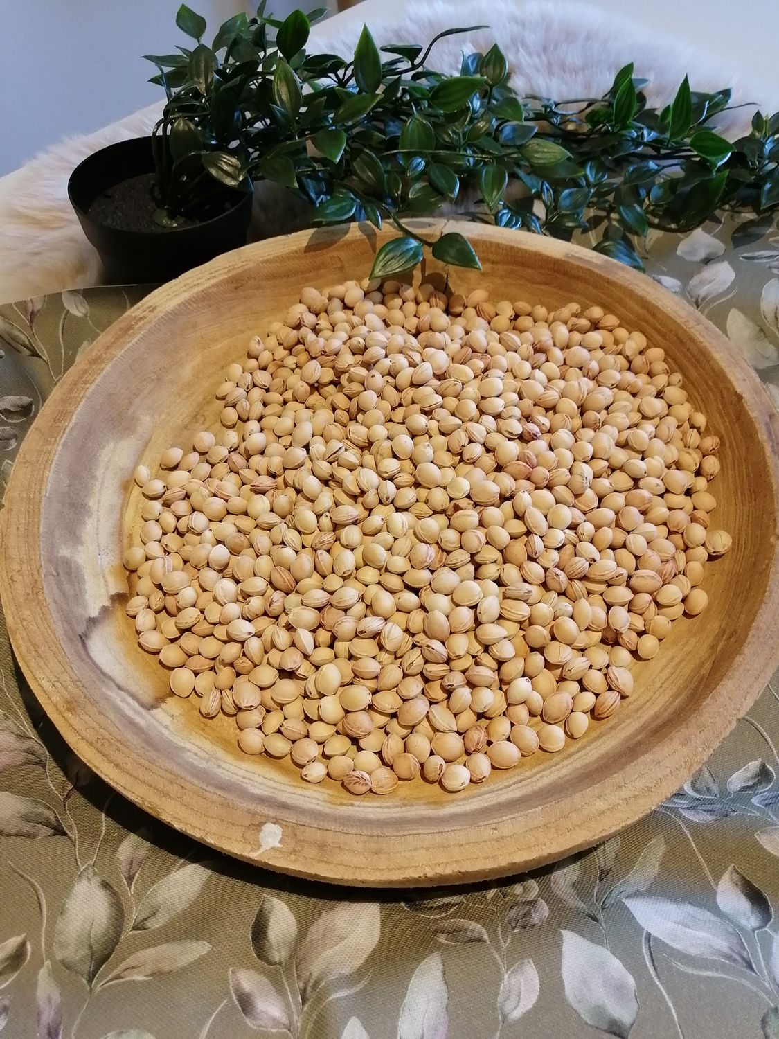 Biologische kersenpitten. 1 kg per verpakking.