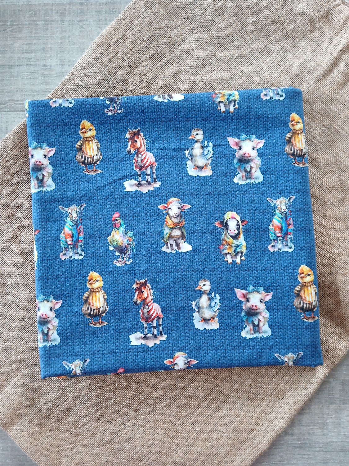 Jersey Best dressed babies, blue