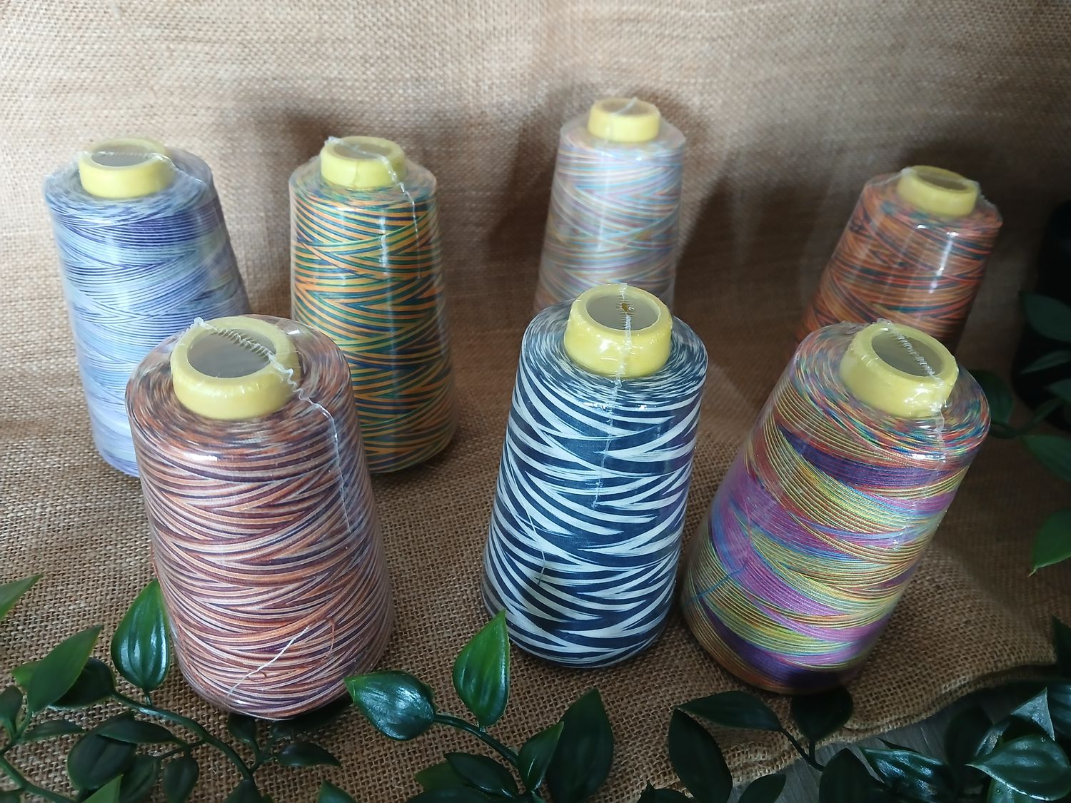 Lockgaren 725R : Multicolors