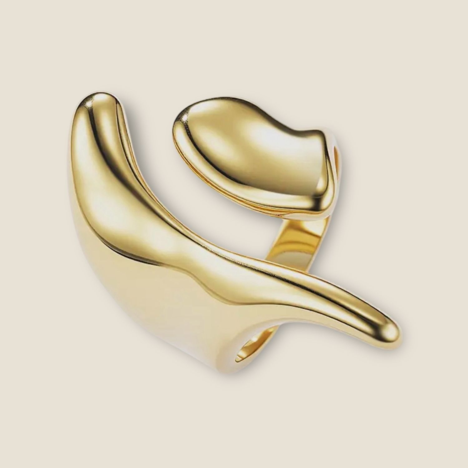 Bague acier inoxydable