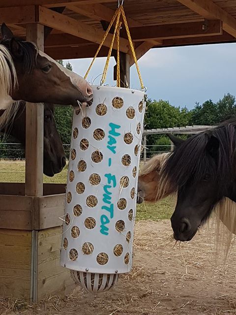 Original HORSEFEED BOX FunDome