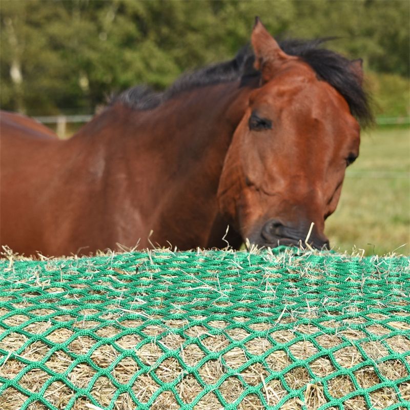 HORSEFEED BOX Futtersparnetz 2m x 2m - NEW Diamond Cord