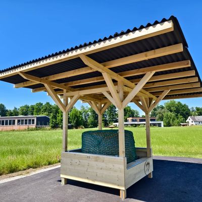 Original HAYMUNSTER DeLuxe 1.8 SHETTY SIDE