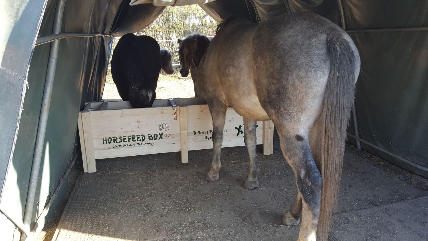 Original HORSEFEED BOX CLASSIC XL