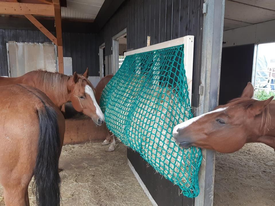 Original HORSEFEED BOX Feedbar Big XXL