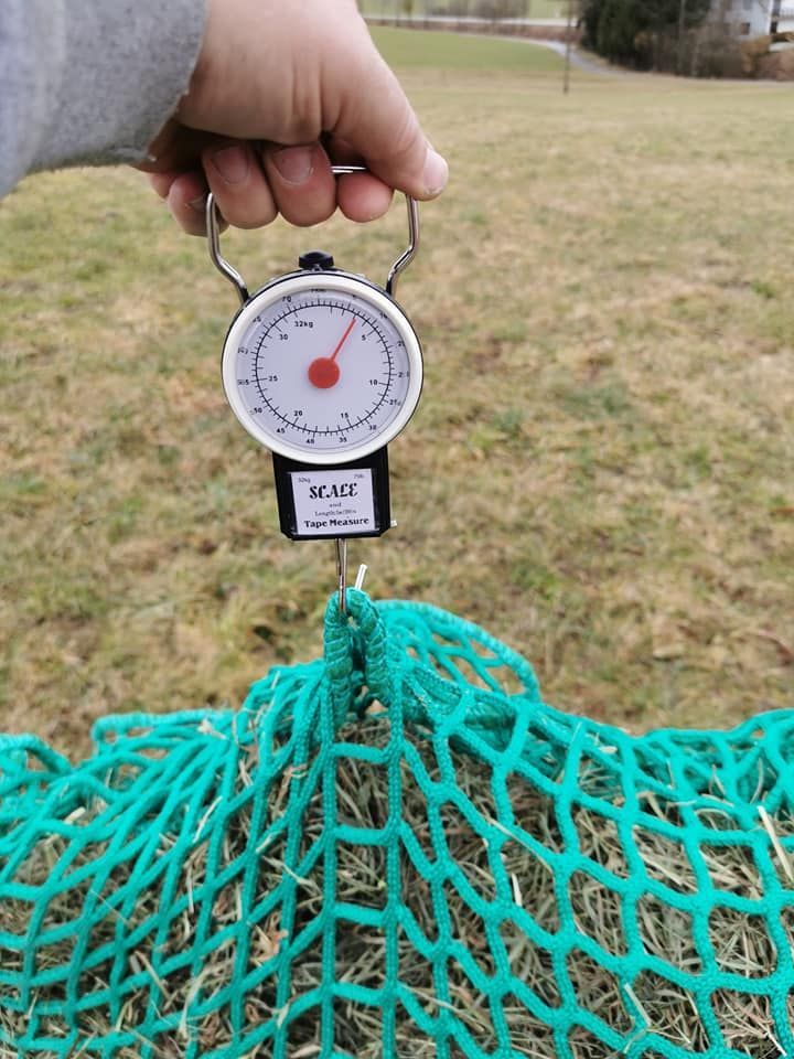 Original HORSEFEED BOX - Heuwaage Federwaage Analog