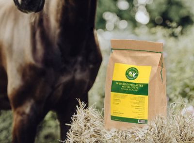 Nösenberger Kräuter