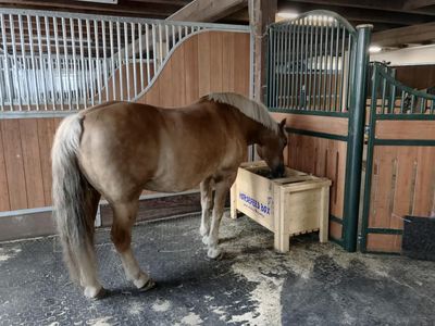 Heuboxen bis 200cm Länge - 58cm Breite (CLASSIC)