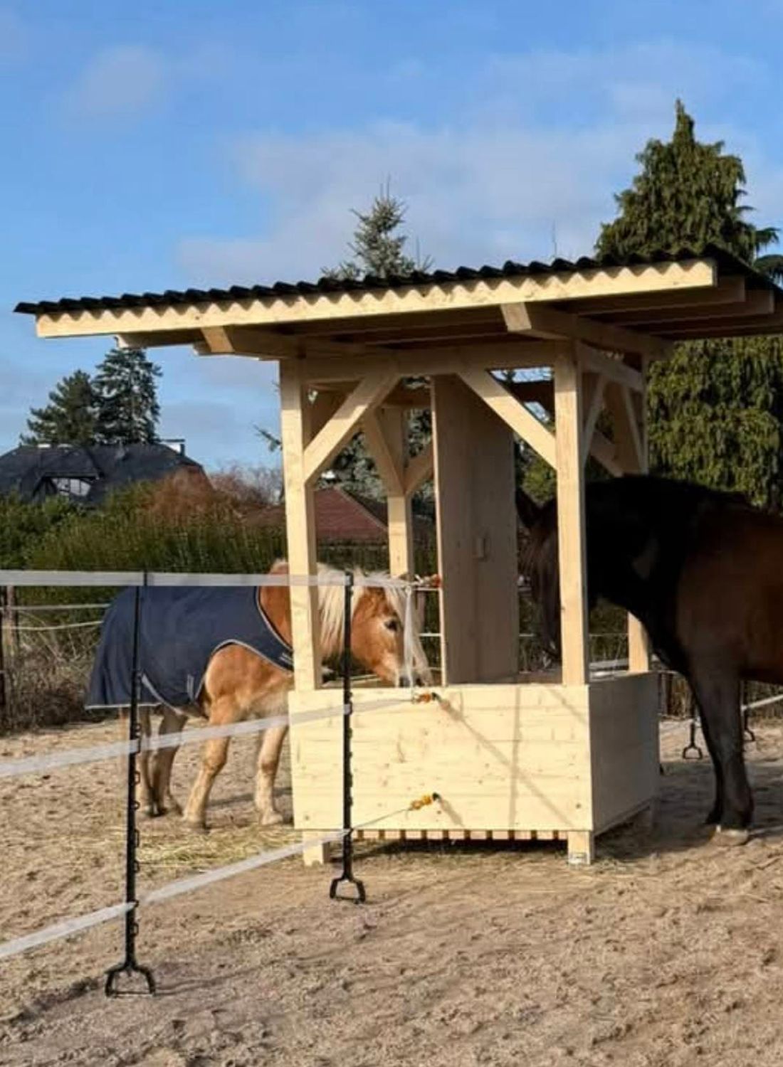 Original HAYMUNSTER DeLuxe 1.2 - DUO PADDOCK - Heuraufe