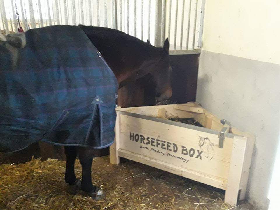 Original HORSEFEED BOX CLASSIC CORNER